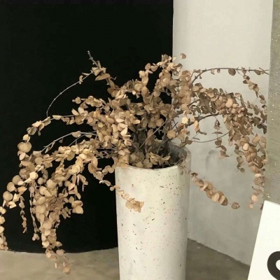 郊区福瑞交流群